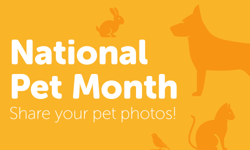 Share your Pets for National Pet Month! | Coop Colleagues Connect